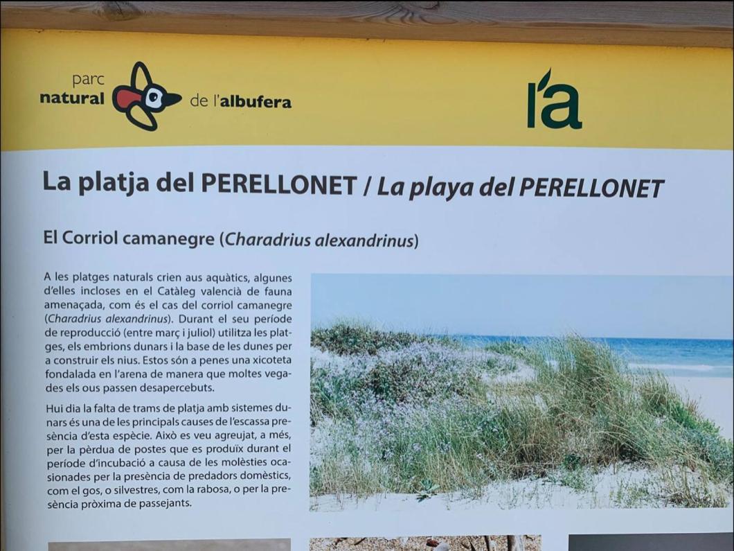 Beach Retreat Valencia Eksteriør billede